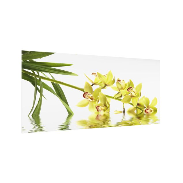 glasskivor kök Elegant Orchid Waters