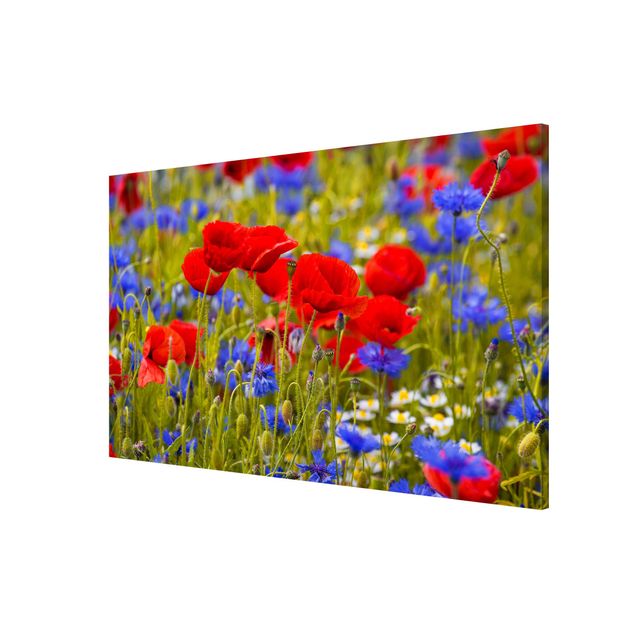 Magnettavla blommor  Summer Meadow With Poppies And Cornflowers