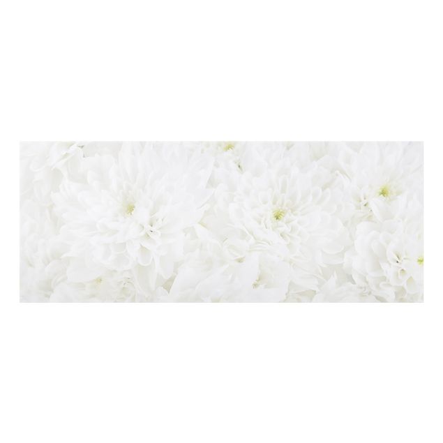 glasskivor kök Dahlias Sea Of Flowers White