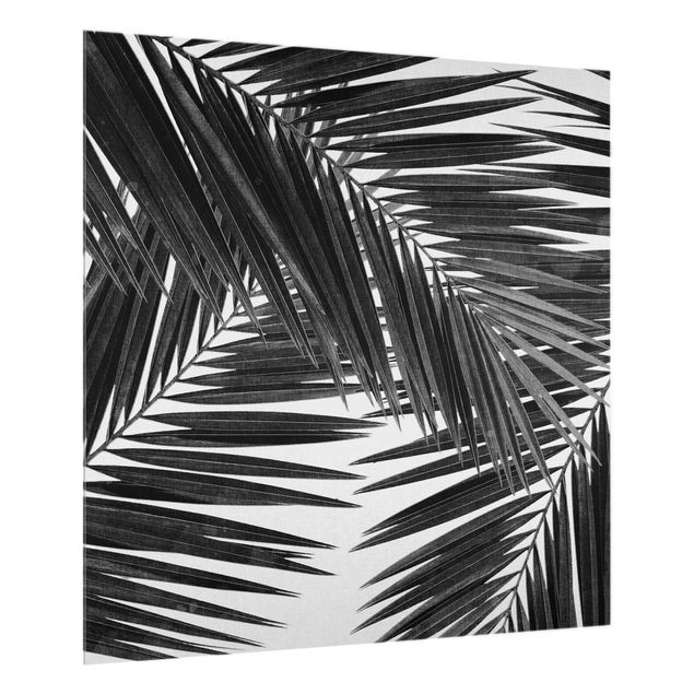 stänkskydd kök glas View Through Palm Leaves Black And White