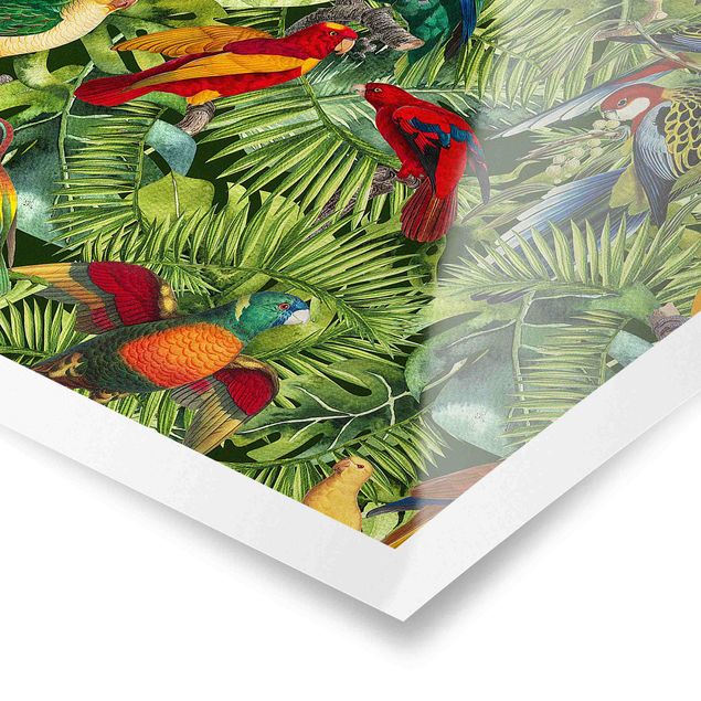Tavlor färgglada Colourful Collage - Parrots In The Jungle
