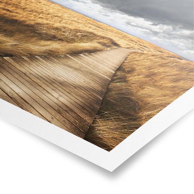 Posters landskap Path Between Dunes