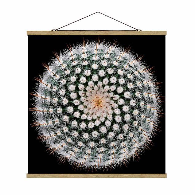 Tavlor modernt Cactus Flower