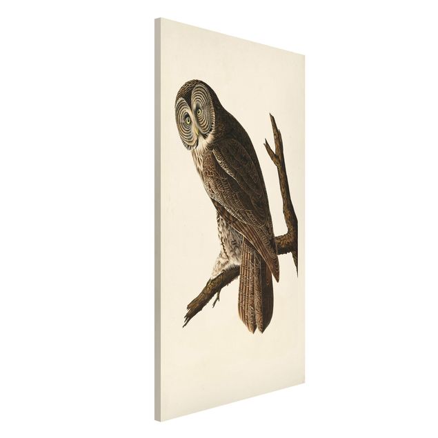 Kök dekoration Vintage Board Great Owl