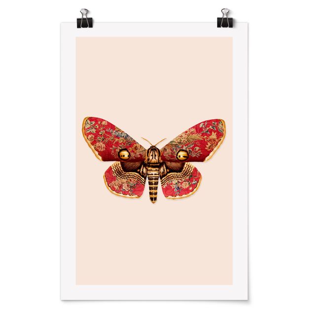 Posters djur Vintage Moth