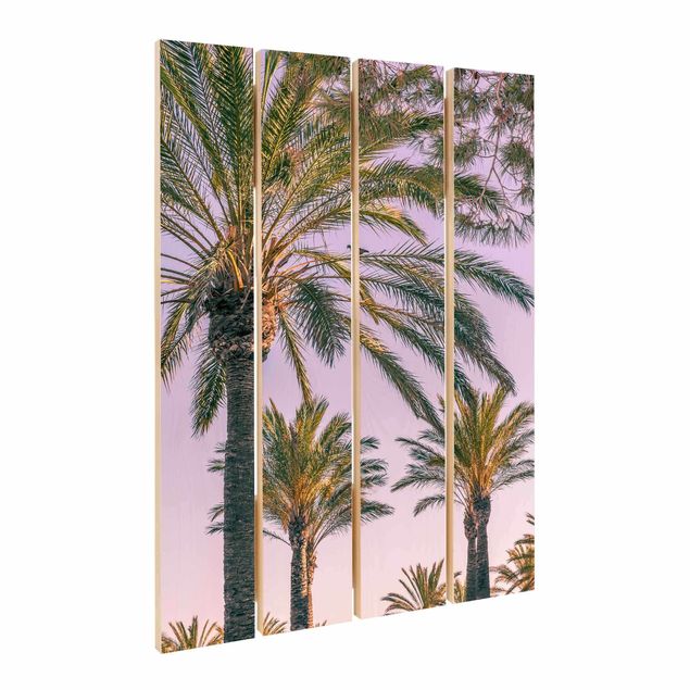 Tavlor Palm Trees At Sunset