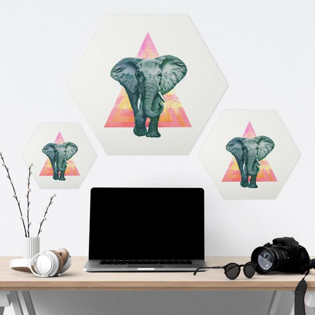 Hexagonala tavlor Illustration Elephant Front Triangle Painting