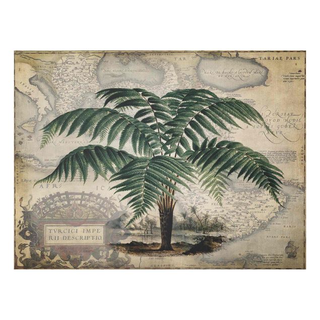 Tavlor landskap Vintage Collage - Palm And World Map