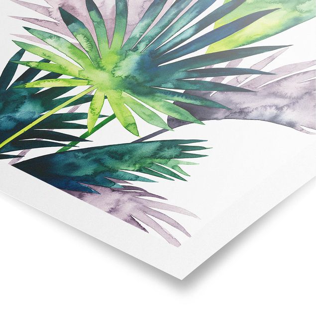 Tavlor blommor  Exotic Foliage - Fan Palm