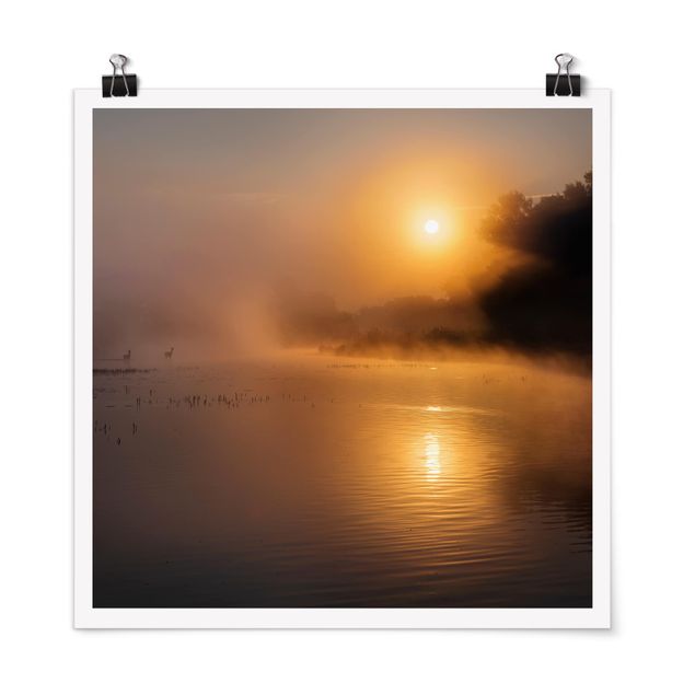 Posters landskap Sunrise on the lake with deers in the fog