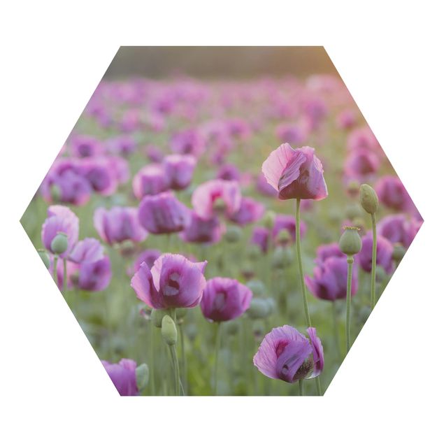 Tavlor modernt Purple Poppy Flower Meadow In Spring