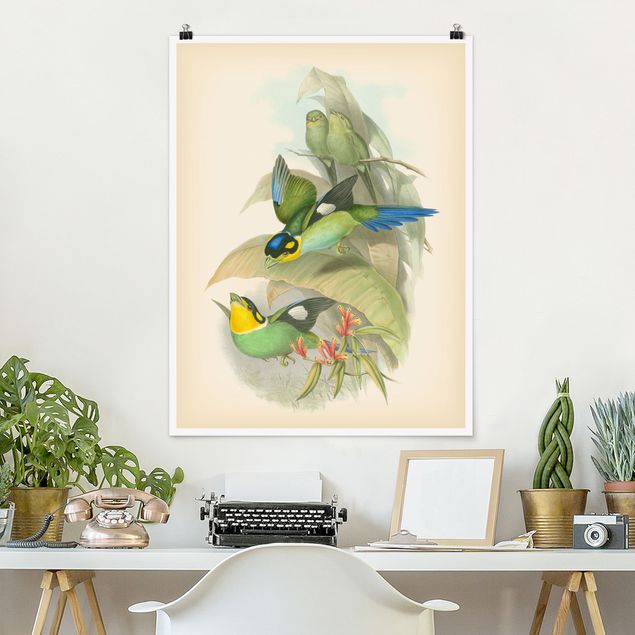 Kök dekoration Vintage Illustration Tropical Birds