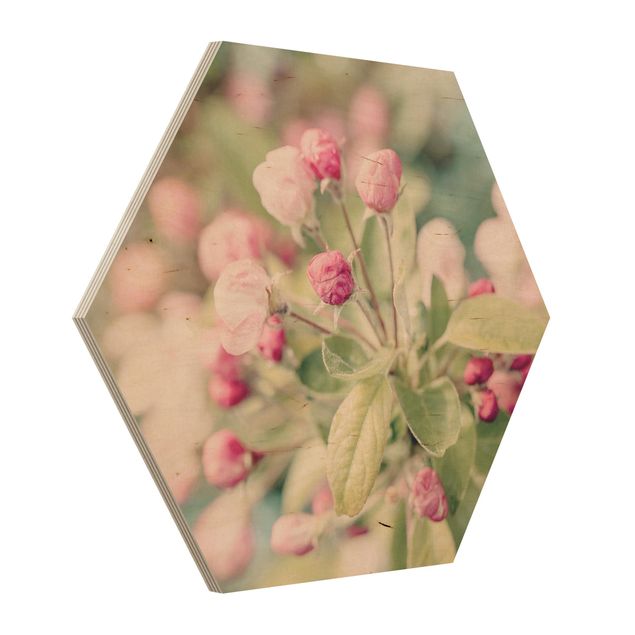 Tavlor blommor  Apple Blossom Pink Bokeh