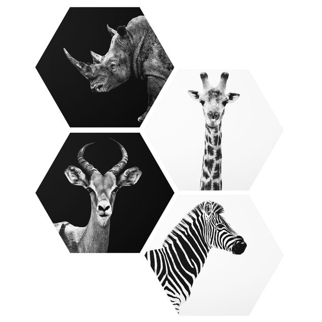 Tavlor modernt Safari Quartet