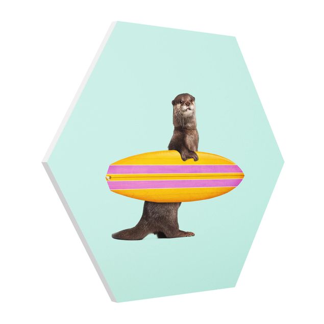 Tavlor sport Otter With Surfboard