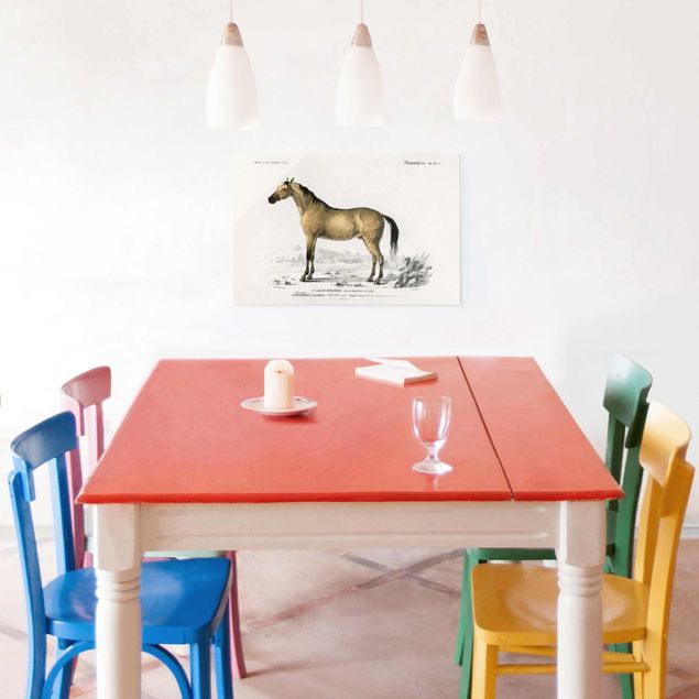 Glastavlor djur Vintage Board Horse