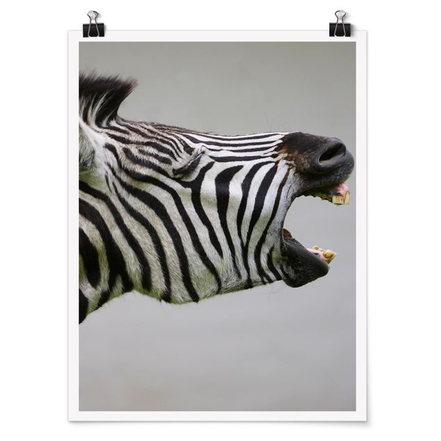Tavlor Afrika Roaring Zebra