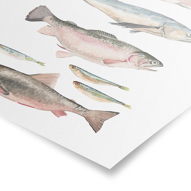 Posters djur Seven Fish In Watercolour I