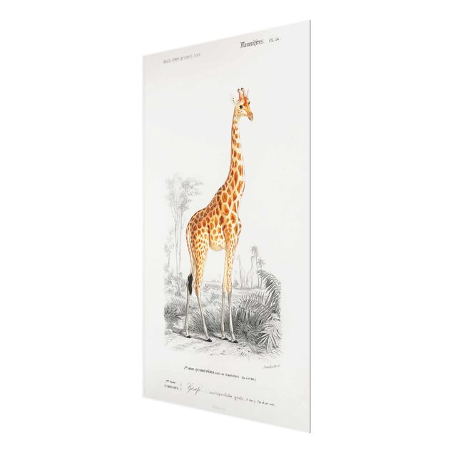 Tavlor gul Vintage Board Giraffe
