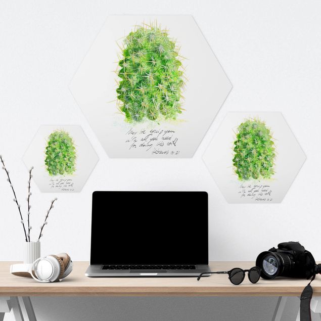 Hexagon Bild Forex - Kaktus mit Bibellvers I