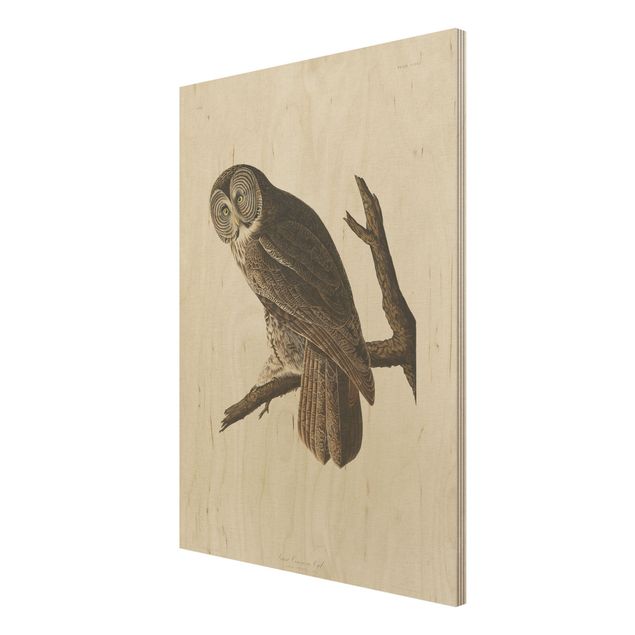 Tavlor Vintage Board Great Owl