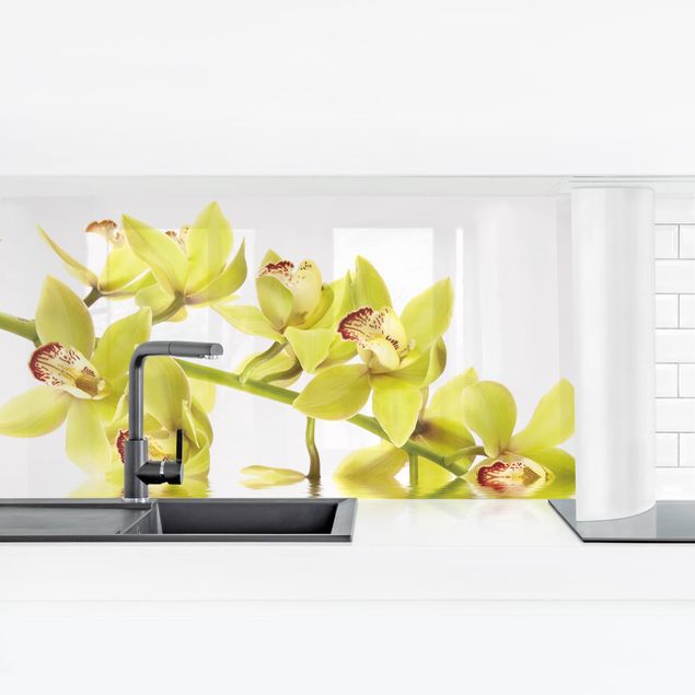 Stänkskydd kök  Elegant Orchid Waters