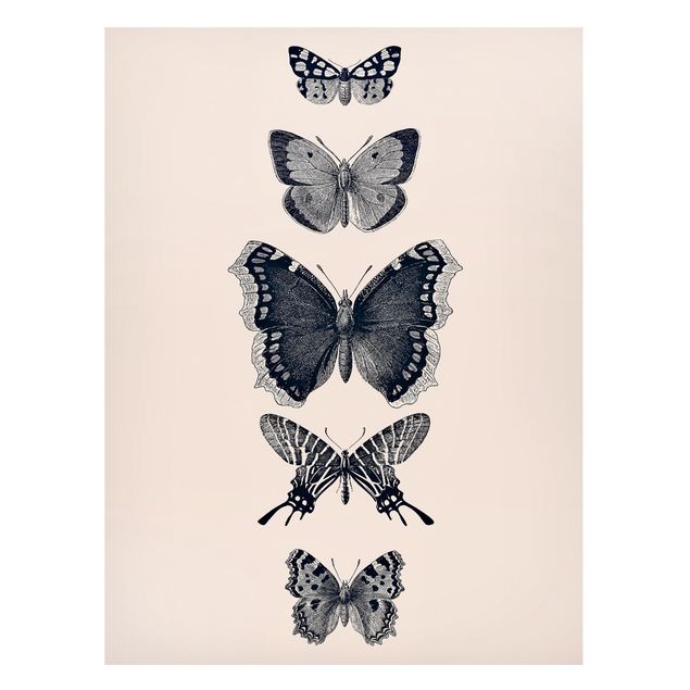 Tavlor fjärilar Ink Butterflies On Beige Backdrop