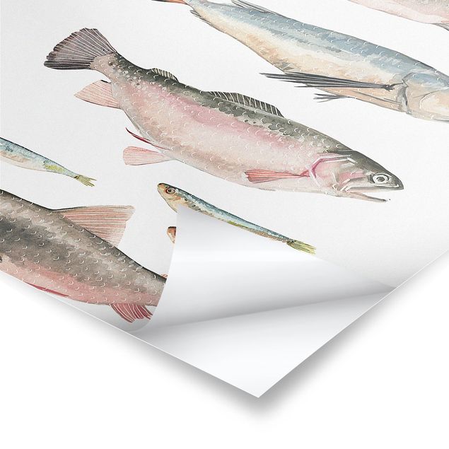 Tavlor Seven Fish In Watercolour I