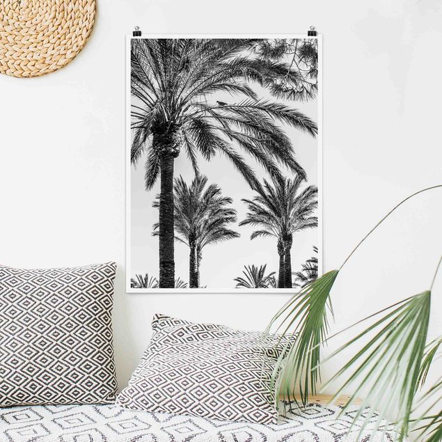 Kök dekoration Palm Trees At Sunset Black And White