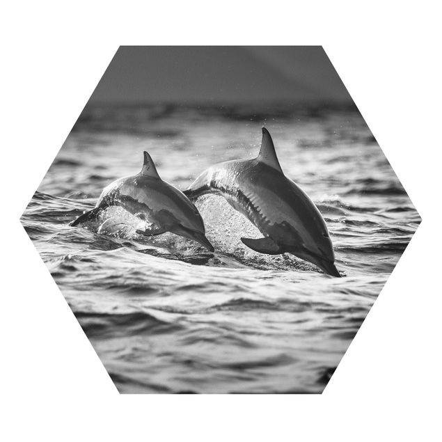 Tavlor svart och vitt Two Jumping Dolphins
