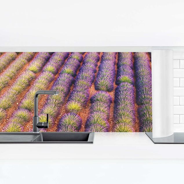 Matteo Colombo Kunstdrucke Picturesque Lavender Field