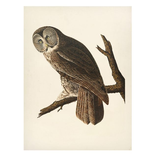 Magnettavla djur Vintage Board Great Owl