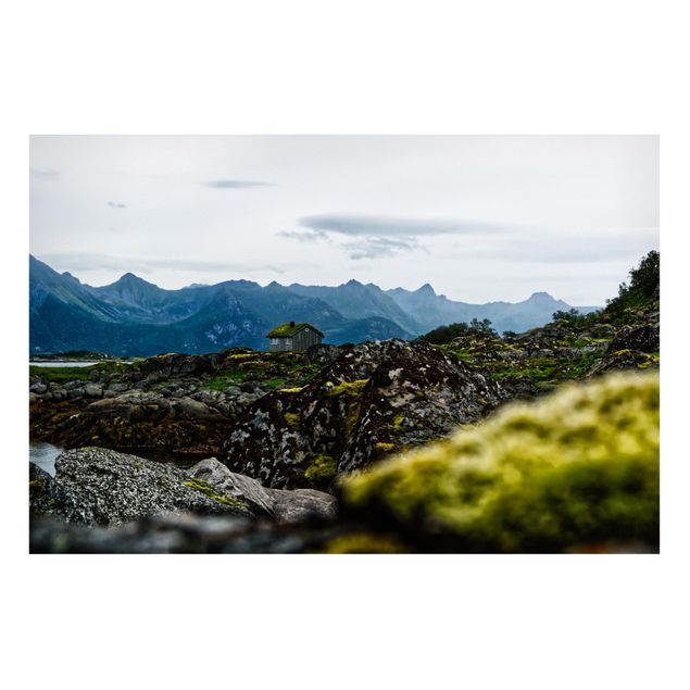 Tavlor bergen Desolate Hut In Norway