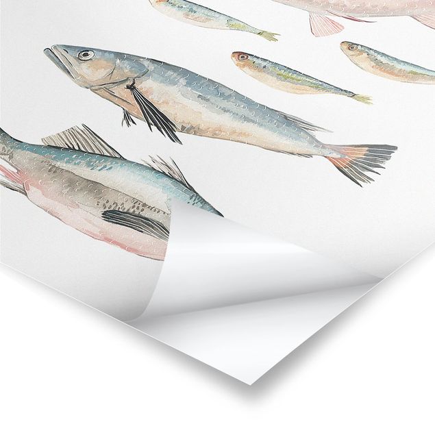 Posters Seven Fish In Watercolour II