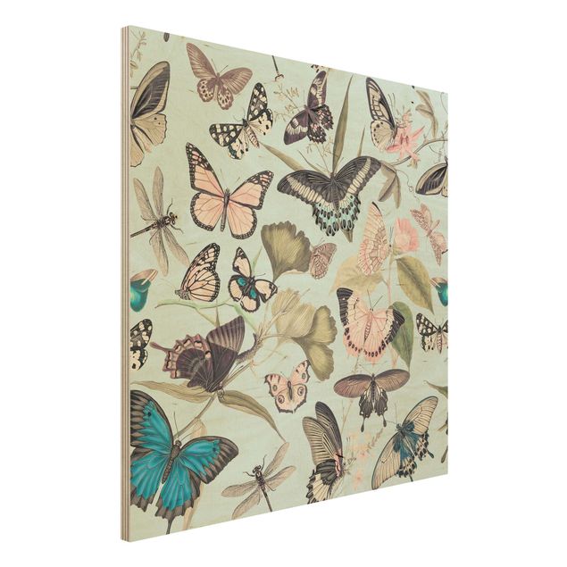 Kök dekoration Vintage Collage - Butterflies And Dragonflies