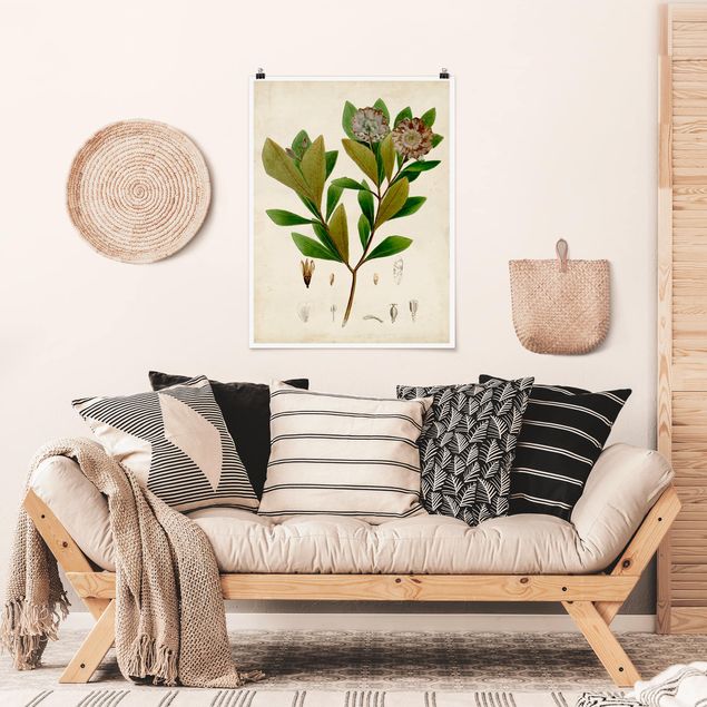 Posters blommor  Deciduous Poster V
