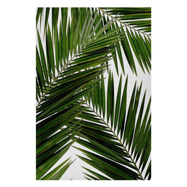 Tavlor landskap View Through Green Palm Leaves