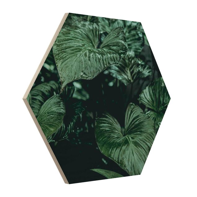 Hexagonala tavlor Tropical Plants I