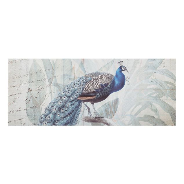 glasskiva kök Shabby Chic Collage - Peacock