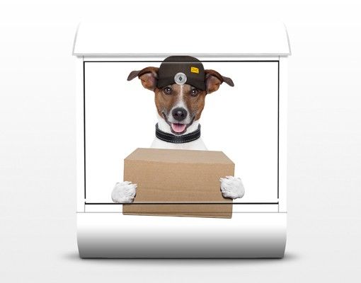 Brevlådor Dog With Package