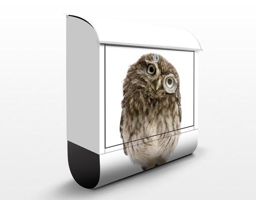 Brevlådor djur Curious Owl