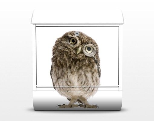 Brevlådor Curious Owl