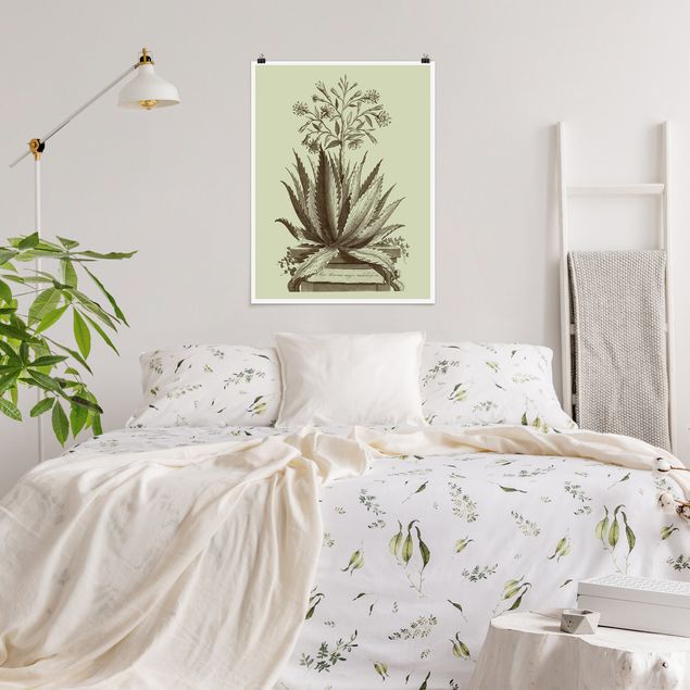 Posters blommor  Vintage Aloe Serrata