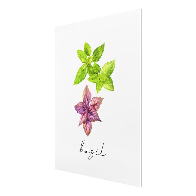 Tavlor blommor Herbs Illustration Basil