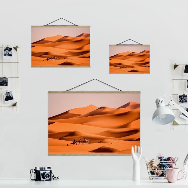 Tavlor orange Namib Desert