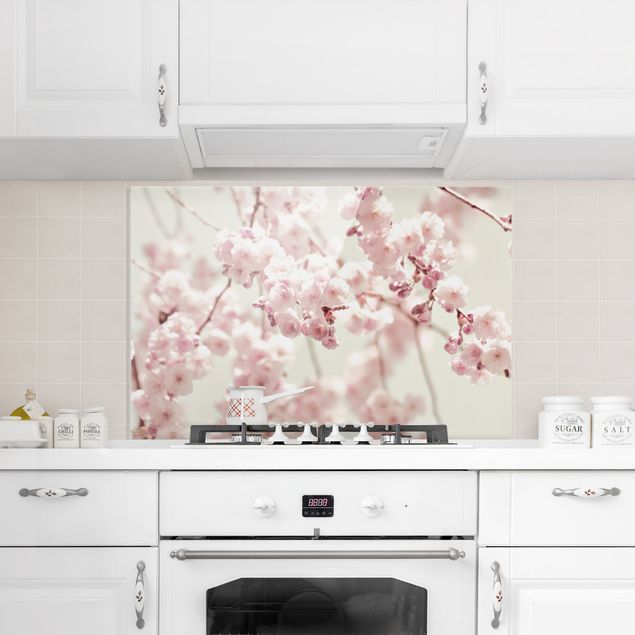 Stänkskydd kök glas blommor  Dancing Cherry Blossoms