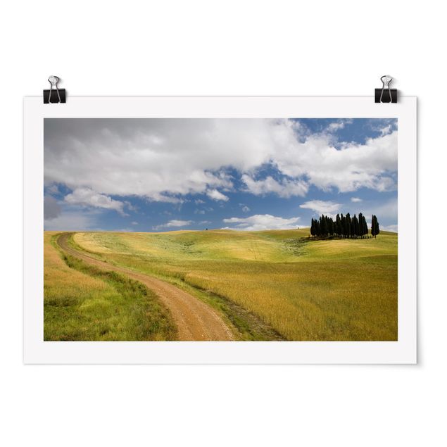 Posters landskap Cypresses In Tuscany