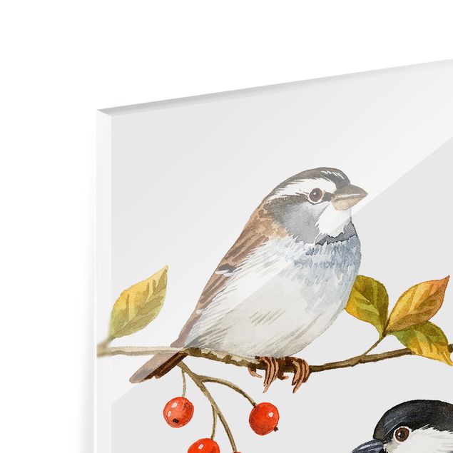 Glas Spritzschutz - Vögel und Beeren - Meisen - Quadrat - 1:1