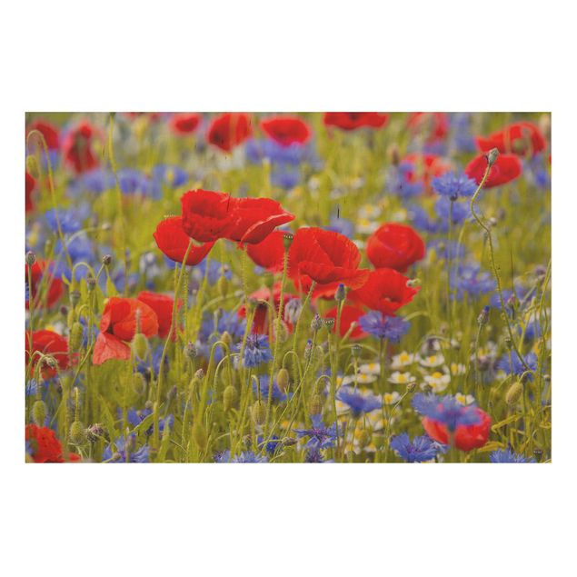 Trätavlor blommor  Summer Meadow With Poppies And Cornflowers