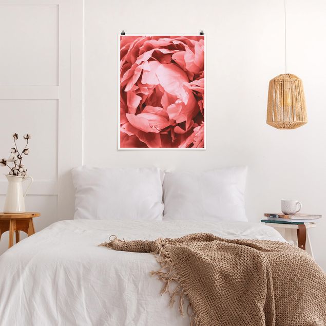 Posters blommor  Peony Blossom Coral